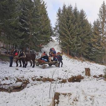 Agroturismo Maramures Landscape