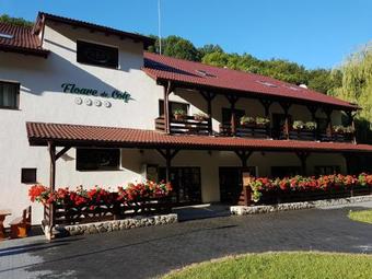 Hostal Pensiunea Floare De Colt