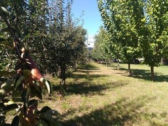 Agroturismo Edelweiss