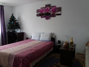 Apartamento Garsoniera Elena