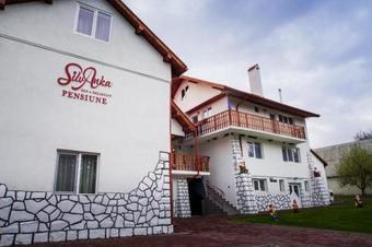 Bed & Breakfast Pensiunea Silvanka