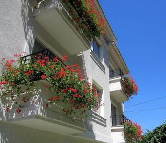 Hostal Villa Otava Lux