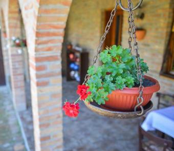 Agroturismo Etno Dom "zuza"