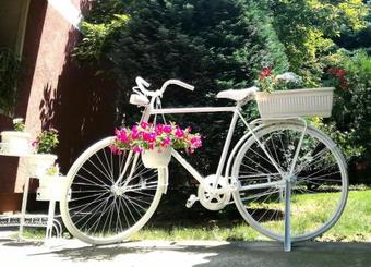 Hostal Maslina Rooms