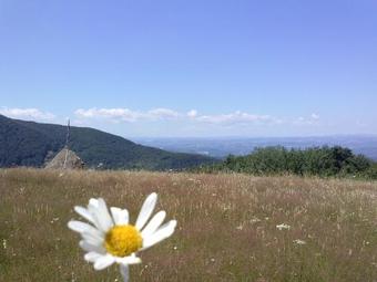 Agroturismo Apartmani Mali Raj Rudnik