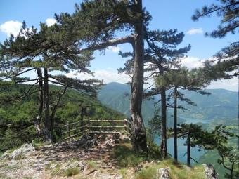 Holiday Home Ljubicica