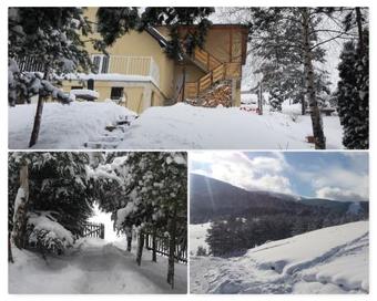 Zlatibor Apartmani Dm Tornik