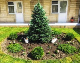 Hostal Guest House Belaya Lebed