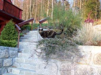 Aparthotel Apartm�ny A Chalupa Tara