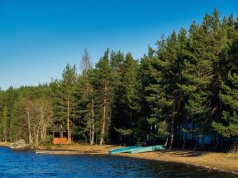 ???? ?????? ???????? ??????