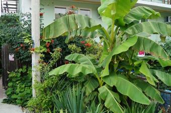 Hostal Guest House Natalie