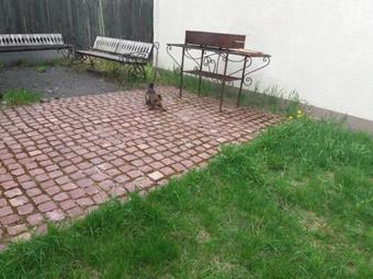 Hostal Guesthouse Vernisage