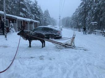 Shishki Na Lampushke - Villa Casa De Campo