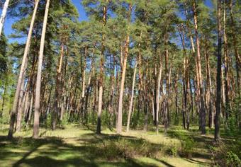 Park Hotel Paustovskij