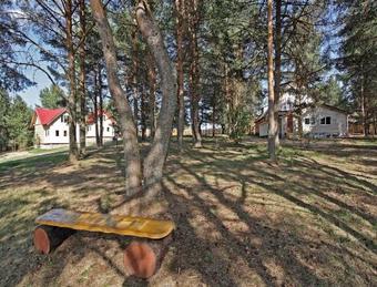 ???? ?????? ?????????????? ???????