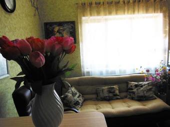 Posada Mini-hotel Svetlana