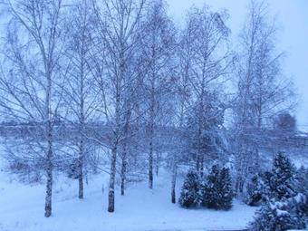 Hostal Guest House Svetlitsa