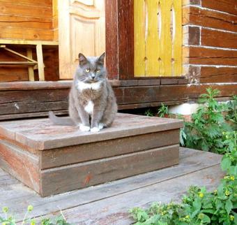 Hostal Konniy Dvor Guest House