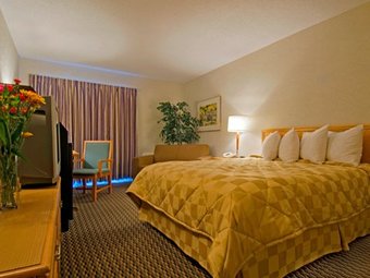 Hotel Comfort Inn (riviere-du-loup)