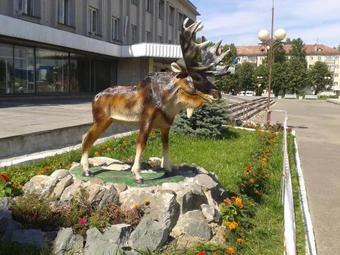 Luxury Apartment In Yoshkar-ola (2-rooms)