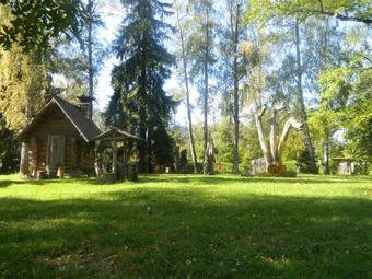 Apartment In The Forest