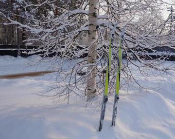 Agroturismo Semeinaya Baza Medvejia Kara