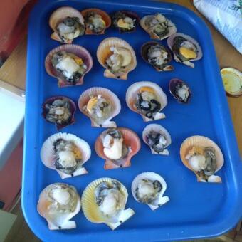 Baza Otdykha 45-y Prichal