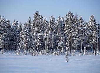 Apartamento ??????????? ?? ?????????, 3 (6??)