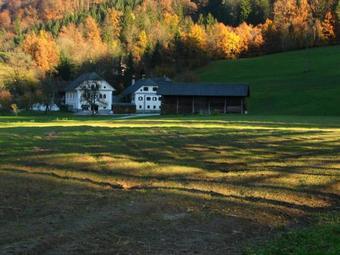 Apartments Cvetje V Jeseni