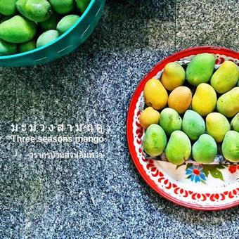 Hotel Warakorn Baansuan Amphawa