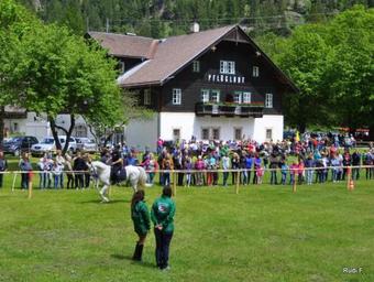 Apartamento Ferienwohnungen Pfl�glhof