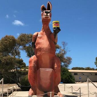 Motel Border Village Roadhouse