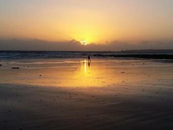Island Daze Surf Beach Phillip Island