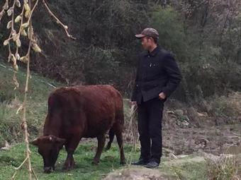 Hostal Zhang Jiajie Tujia Ethnic Guesthouse