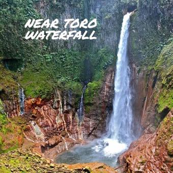 Hotel Del Bosque Costa Rica