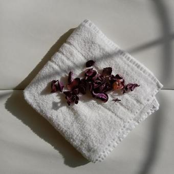 Hostal Resort Rybn�?ek