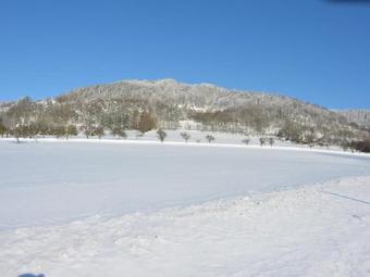 Holiday Home Borivoj