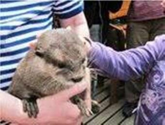 Hostal Turnerova Chata