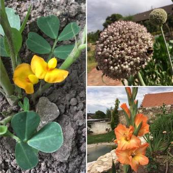 Agroturismo Statek Lun�kov