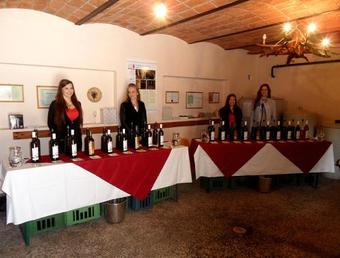 Agroturismo Ubytov�n� Ve Vina?stv� Michna