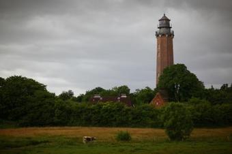 Apartamento Haus Wildgans Ferienwohnung Rose - [#73334]