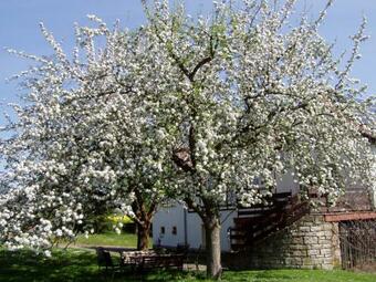 Apartamento Ferienwohnung Oberm�hle