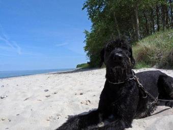 Apartamento Ferienwohnung Am Hof Stieten