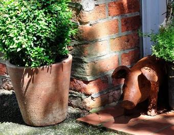 Apartamento Friesen-lodge