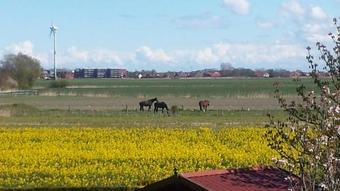 Apartamento Haus Seestern