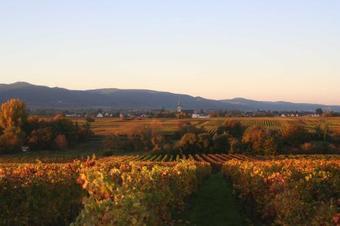 Apartamento Ferienwohnung Spatzennest