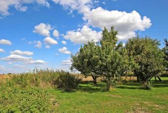Ferienhaeuser Auf Dem Land Hoffeld