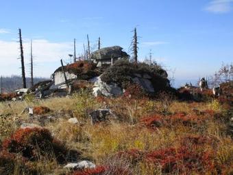 Hostal Pension Philippsreut