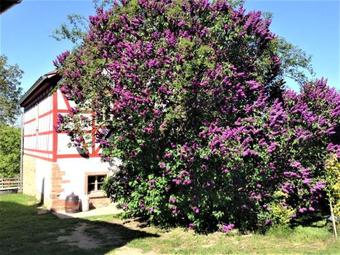 Cottage Das Kleine Gl�ck