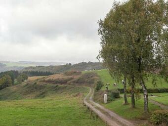 Spacious Apartment In Rodershausen With Barbecue